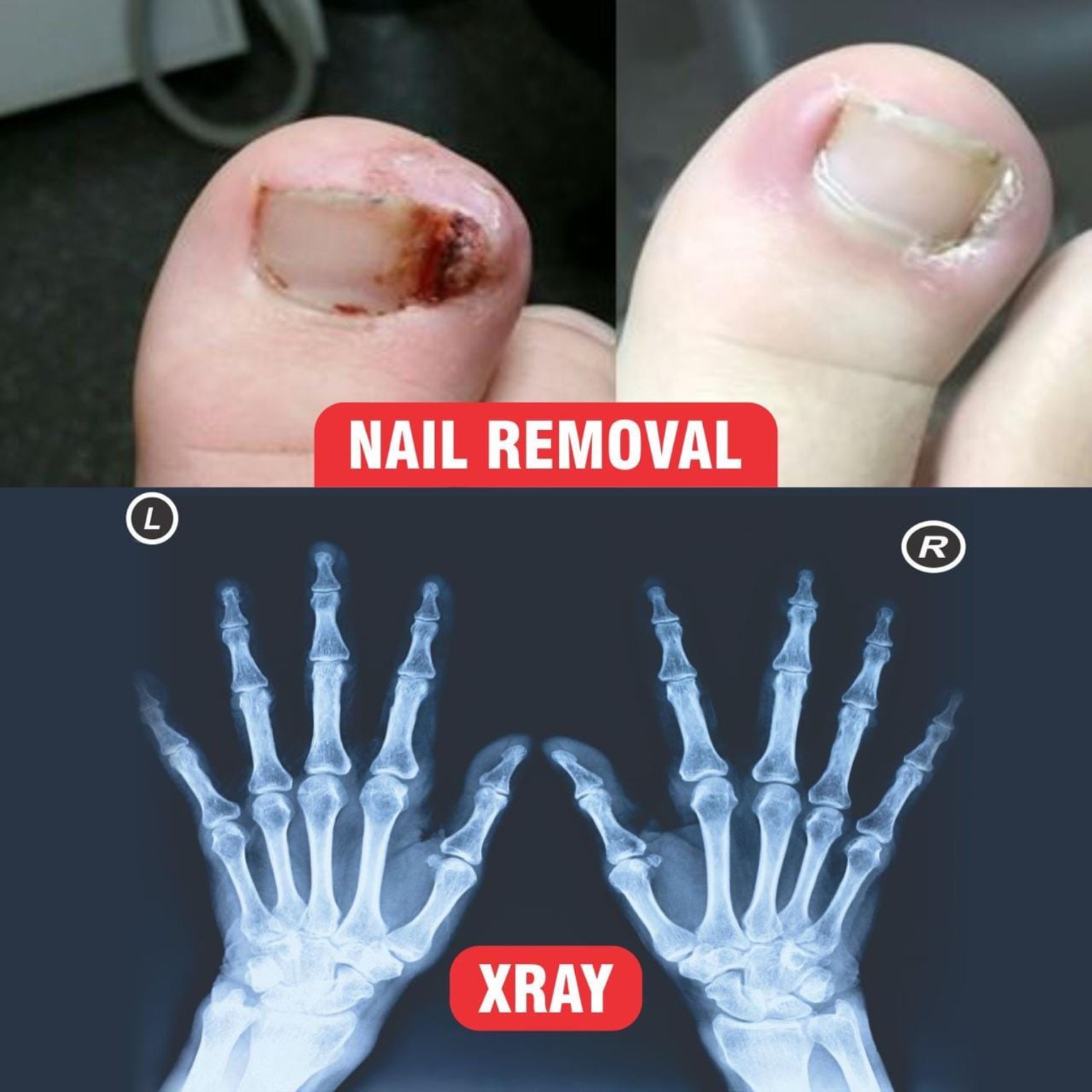 Surgical consultation
